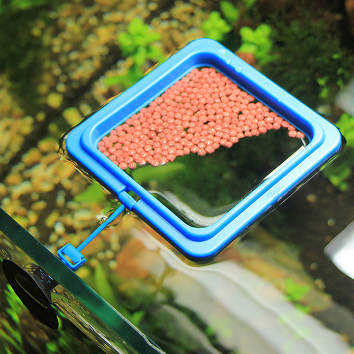 Aquarium Feeding Ring for Small Fish Tanks and Accessories