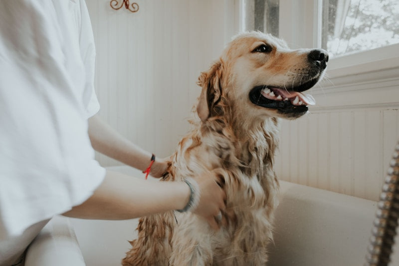 Grooming Deshedding Glove Brush